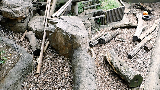 上野動物園マレーグマ舎