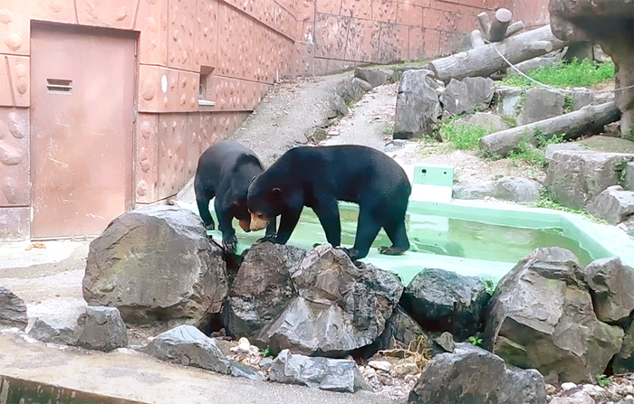 東山マレーグママーネ＆マー子親子